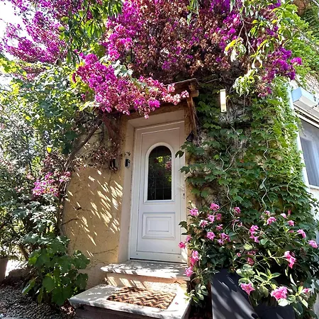 Chez Alexandra Brando