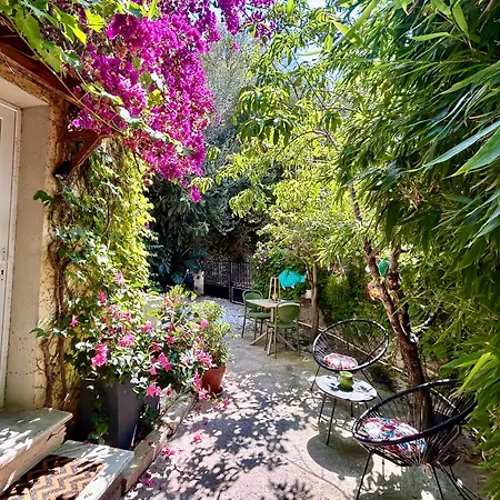 Chez Alexandra לינה וארוחת בוקר Brando
